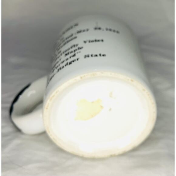 Demitasse Cup Wisconsin White Miniature 2.5 oz. Mug 1991 Shot Souvenir Mini - Picture 6 of 7